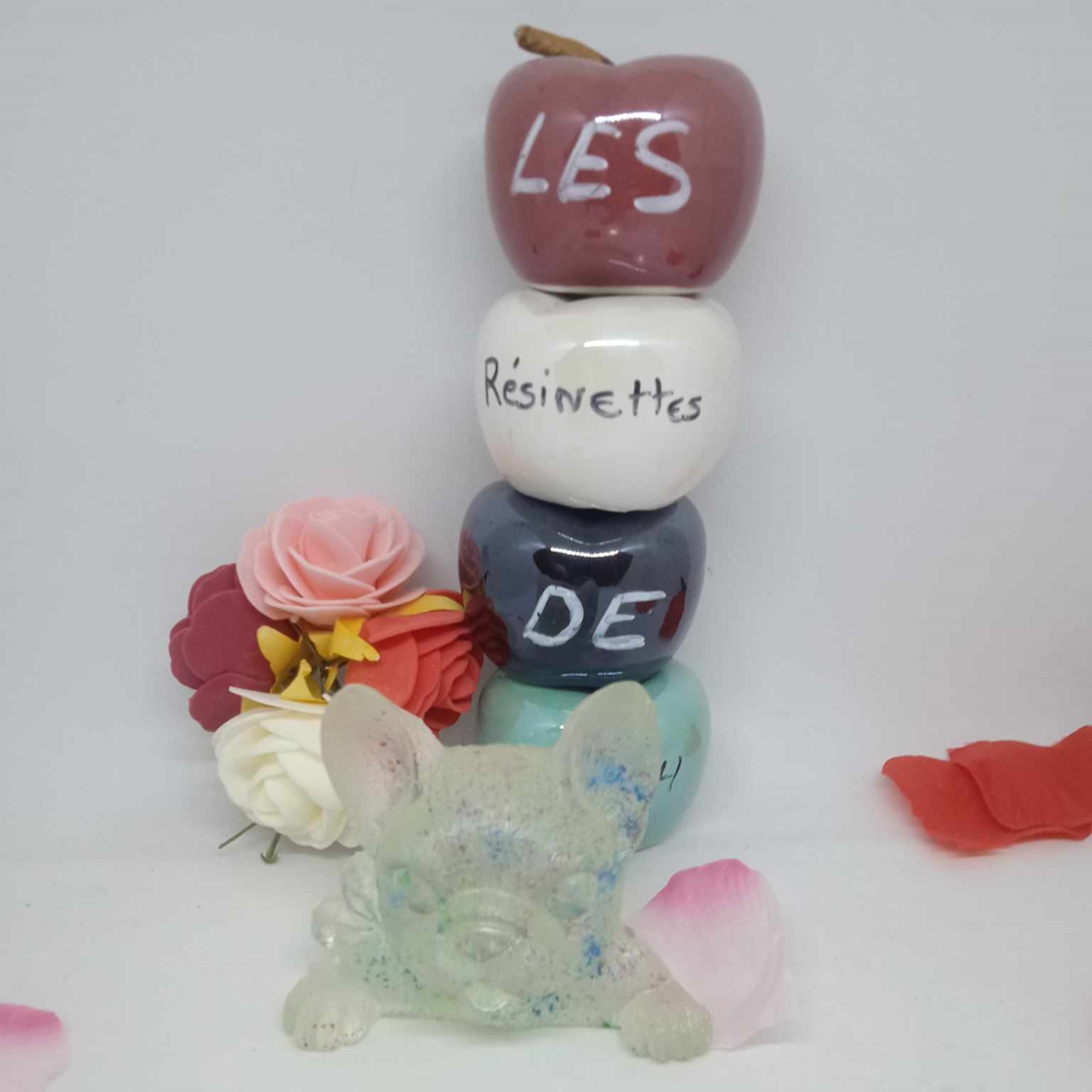 bouledogue transparent